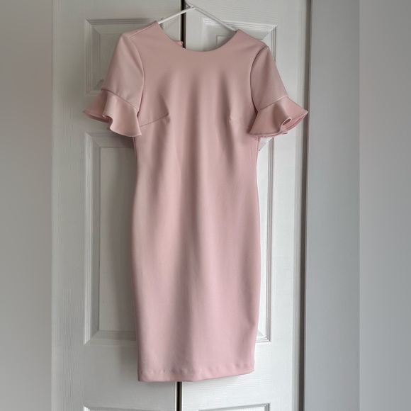 Elegant Pink Ruffle Sleeve Dress - Picture 1 of 1